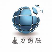 鼎力国际补习班 Company Logo