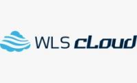 WLS CLOUD Company Logo
