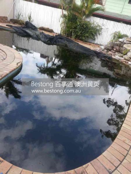 南區專業華人泳池清理  商家 ID： B10032 Picture 4