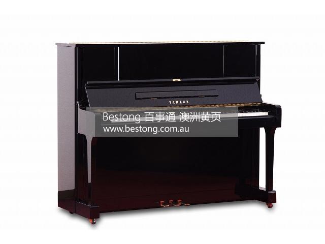 Australia Piano World - Danden  商家 ID： B8878 Picture 4