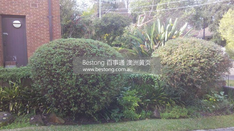 Beautiful Home Gardening  商家 ID： B9145 Picture 3