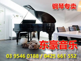 墨尔本钢琴行钢琴乐器 东豪音乐 Sky Music Supplies