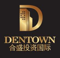 Dentown Group 合盛投资 Company Logo