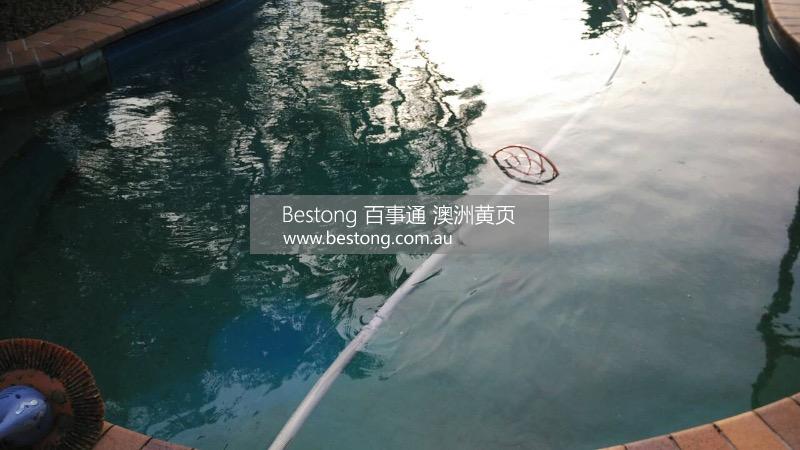 南區專業華人泳池清理  商家 ID： B10032 Picture 1