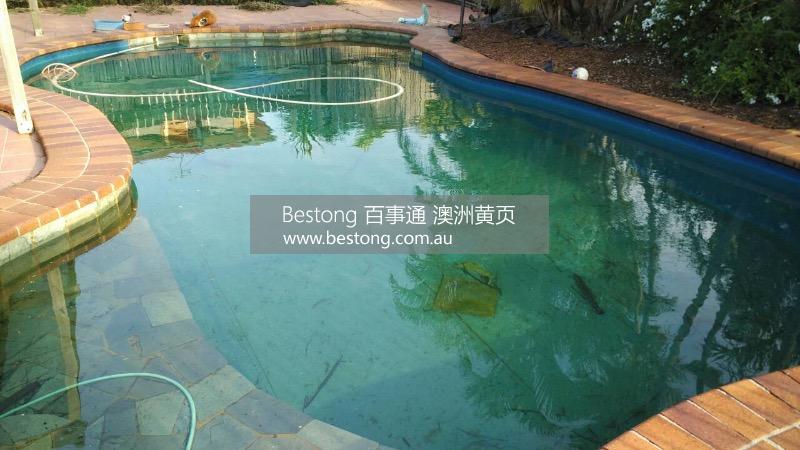 南區專業華人泳池清理  商家 ID： B10032 Picture 2