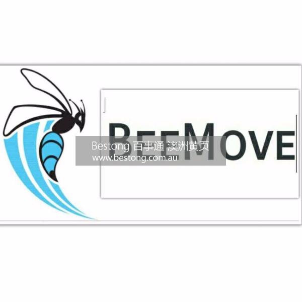 Bee Move  商家 ID： B10523 Picture 2