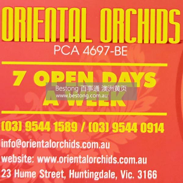 东方兰花会所 Oriental Orchids  商家 ID： B11396 Picture 3
