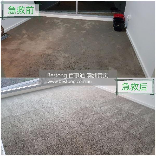 Green Carpet Clean绿力地毯清洗公司  商家 ID： B11106 Picture 2