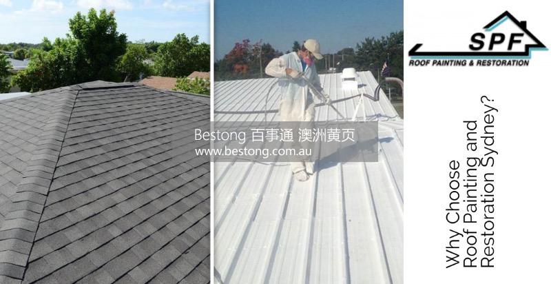 Roof Painting and Restoration   商家 ID： B13898 Picture 6