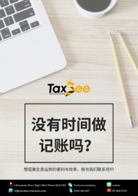 Taxbee 会计事务所 Bookkeeping Service 记帐服务 thumbnail version 1