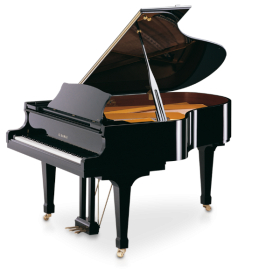 Australia Piano World - Dandenong店 thumbnail version 27